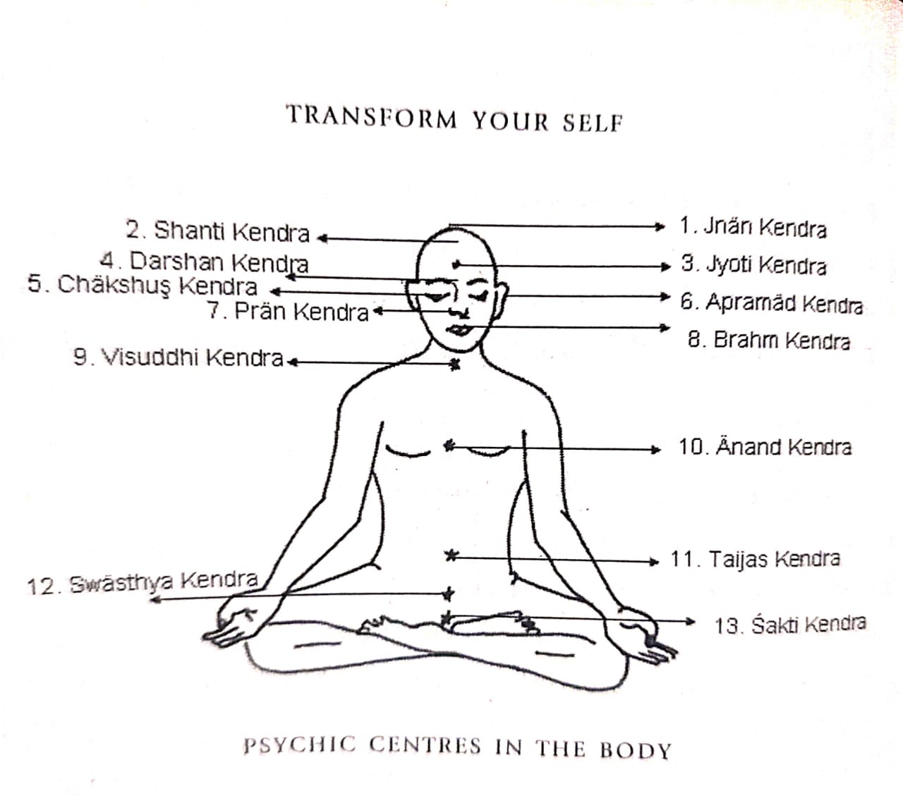 The Psychic Centres in the Body